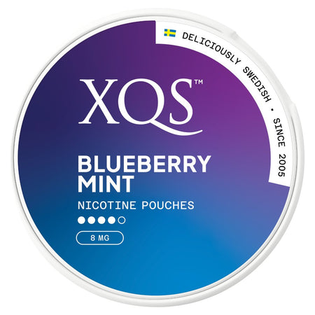 XQS Blueberry Mint nicotine pouches packaging with gradient blue and purple design.